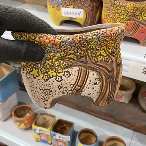 【闪购商品】红陶1