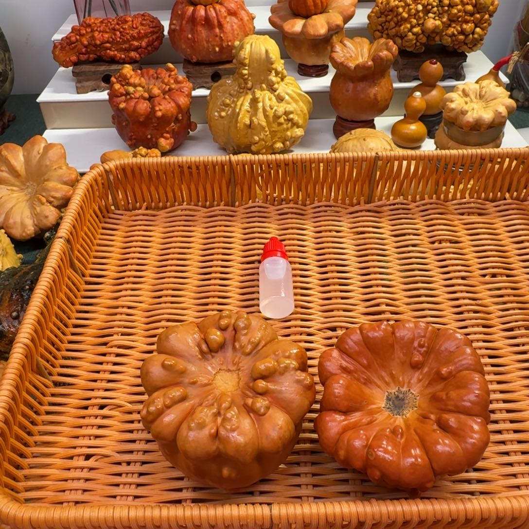 灰***灰墨西哥七彩疙瘩葫芦摆件