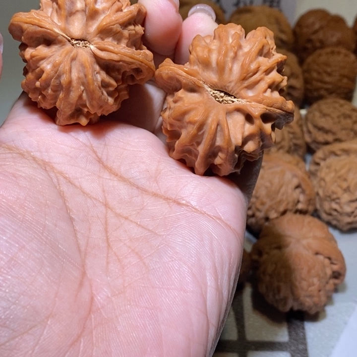 爆****核桃手串/手链大龙