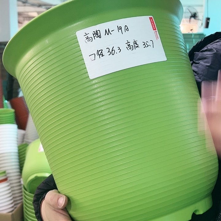正品高陶口36高36果绿无托2只