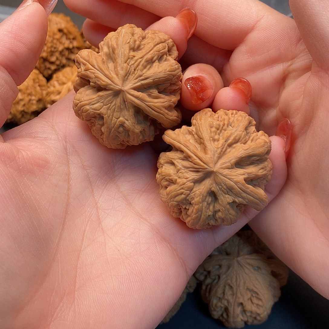 玖***练把件桃核毕业对大粗筋43尺