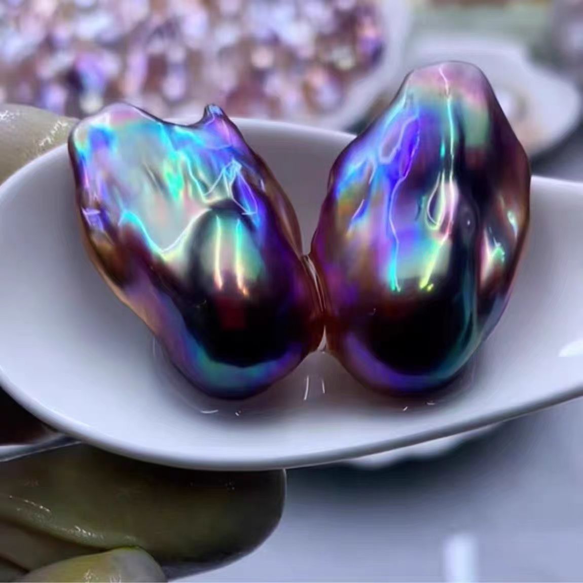 炫彩大巴可DIY定制拍五送一【活体开蚌不退不换】