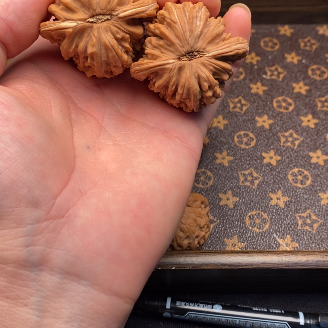 46全品山地楼狮子头