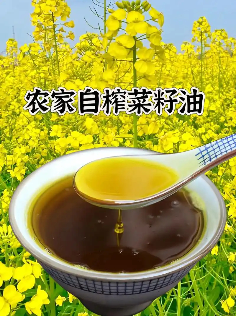 [囡囡代卖]农家自榨毛菜籽油