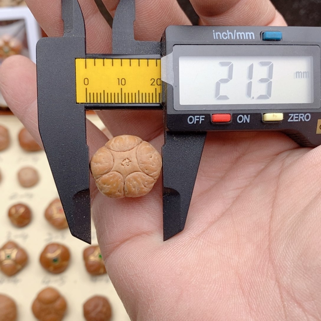 龙眼菩提吊坠开播福利五星