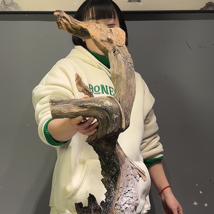 大***舍香榧木你是不知道