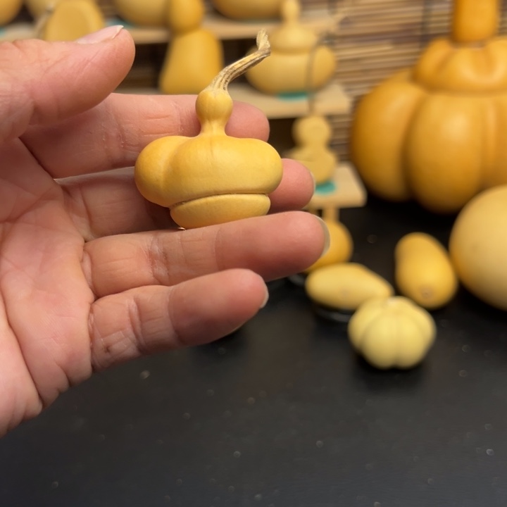 小***.葫芦葫芦葫芦葫芦葫芦葫芦