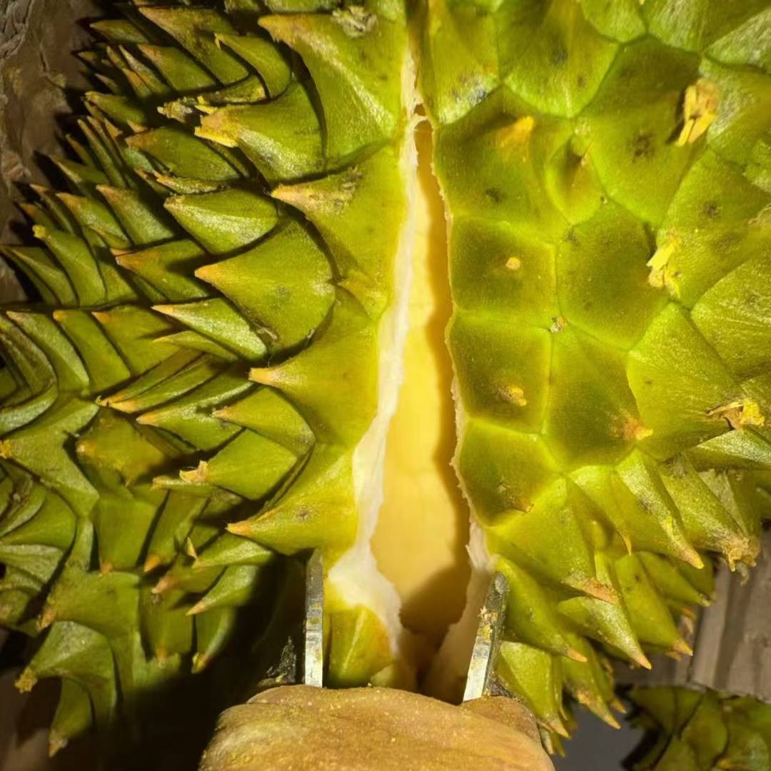 泰国金枕鲜榴莲核小软糯23.8元带皮称重500克金枕泰国