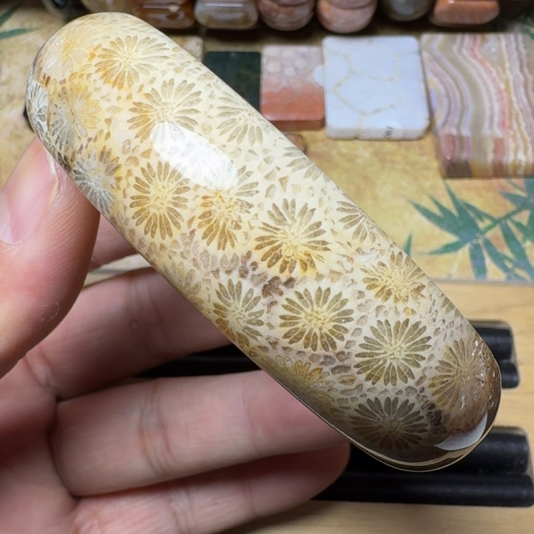 硅化玉纯天然色有机玉石保真色未镶嵌60.8圈口