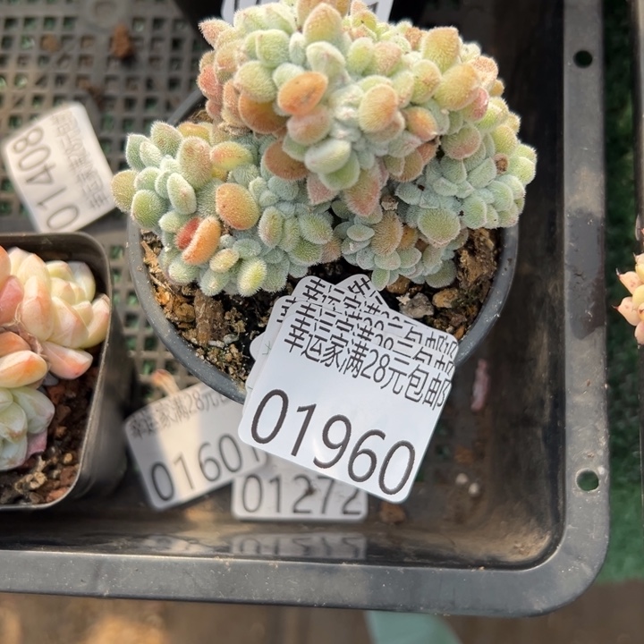 幸运的是我还没遇到过