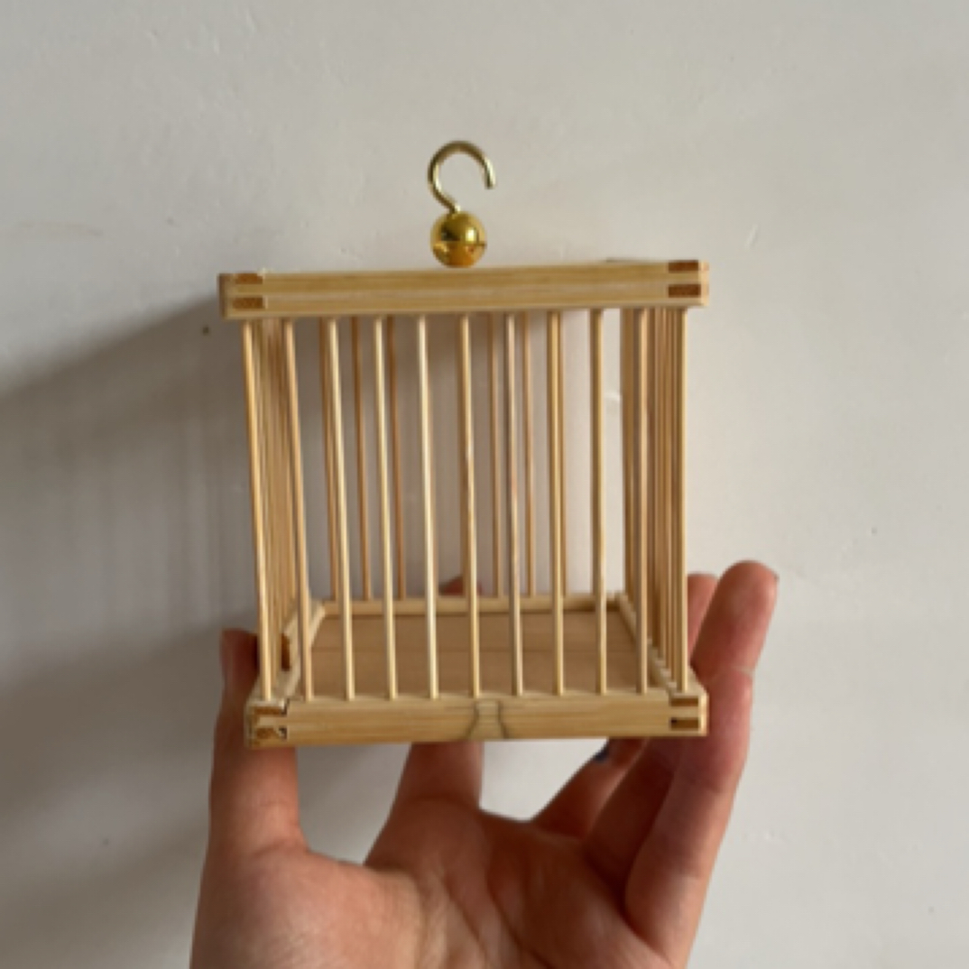 方形笼子单独拍品链接（顺丰包邮  偏远地区不包邮）