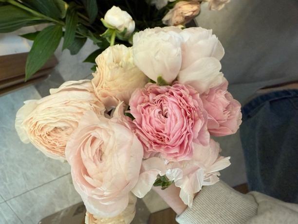 棉花糖洋牡丹一束，凑单福利，不售后，仅山东可拍，任意两单京东包邮