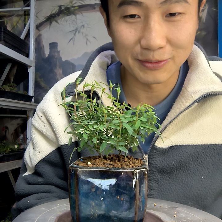 一****²中青园艺一物一拍花466