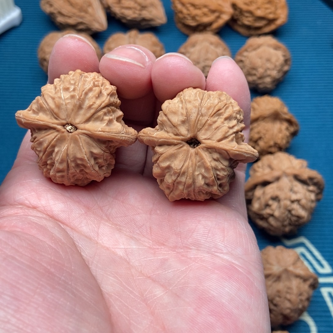 把件文玩核桃血麒麟