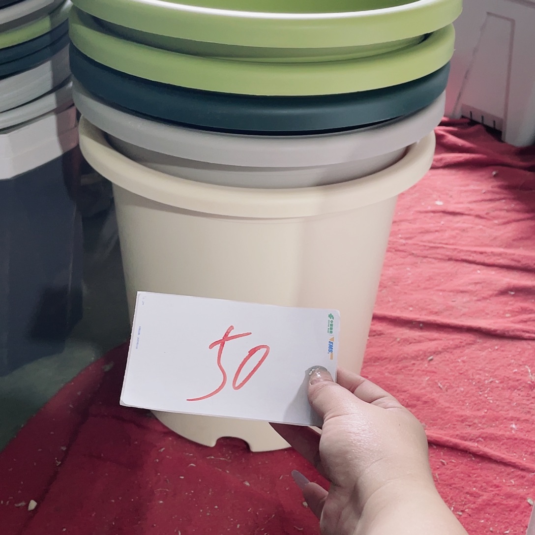 小*编号是50的编号编号