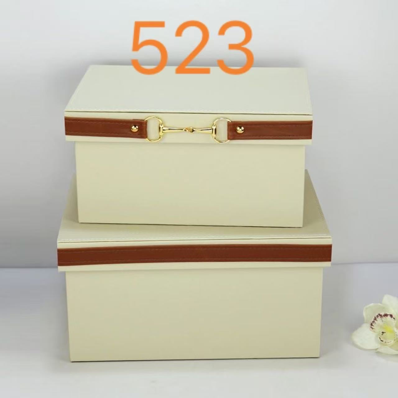 523、以主播讲解为主，收纳箱子按对应序号去拍箱子装货物