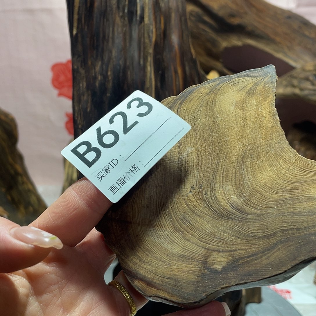 茶****玉土沉香香木摆件