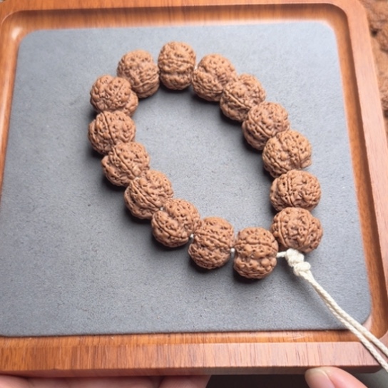 菩提11号尼泊尔大金刚20蜂王梅花