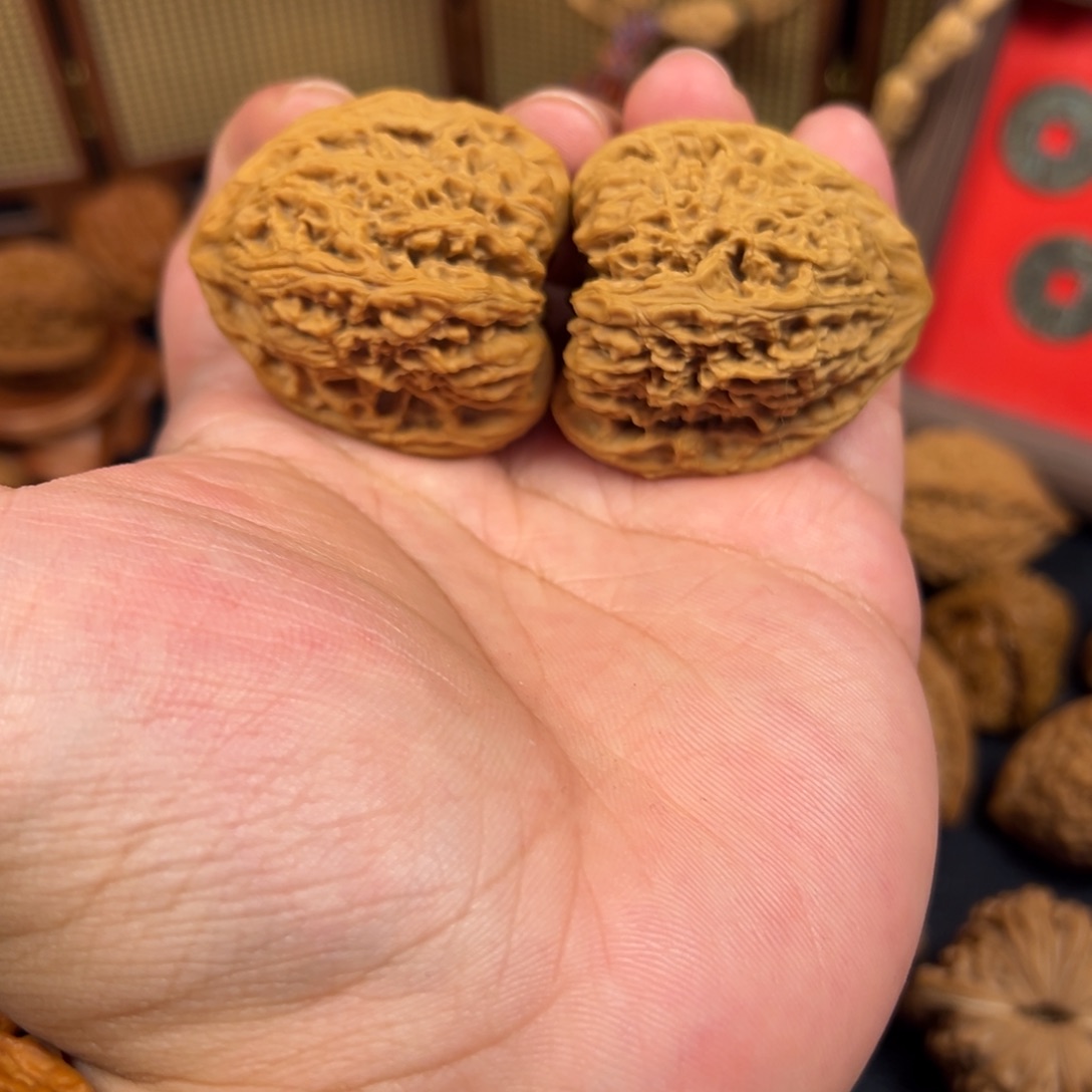 其他核桃40+尺全品三角疆