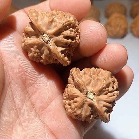 吊坠文玩核桃宫灯