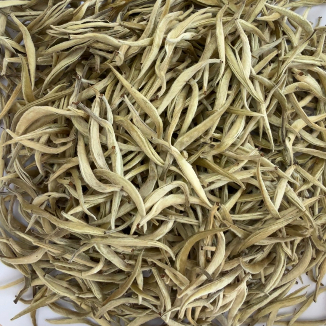 云南白毫银针春茶白茶大白芽