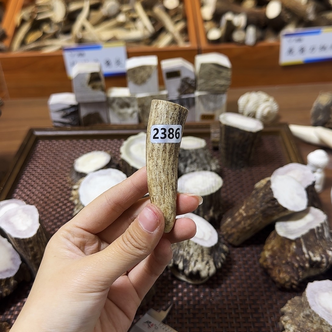 鹿骨手串/手链2386角尖