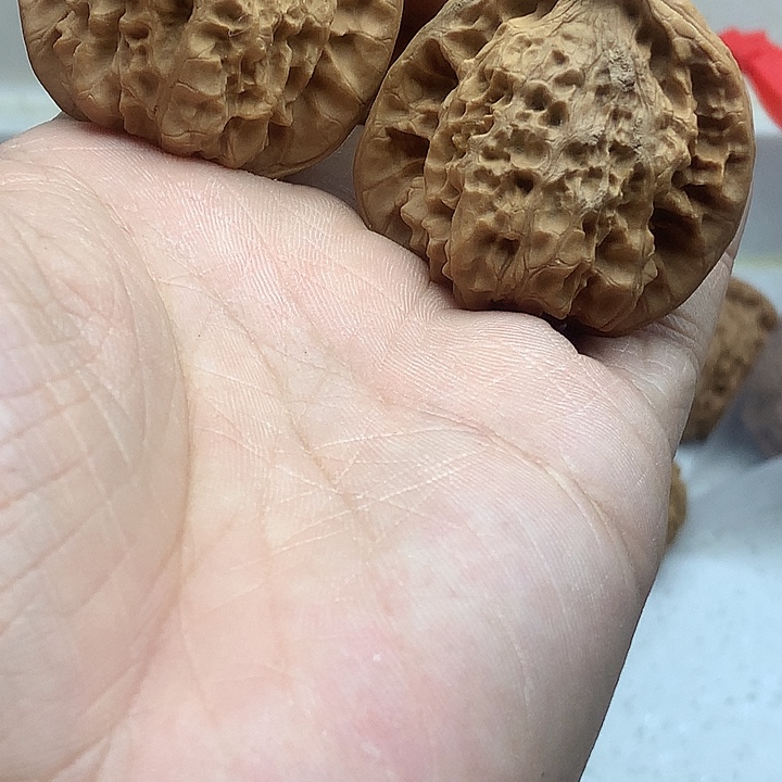 谁***要文玩核桃吊坠蛇头