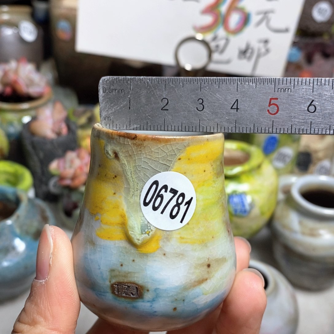 花盆拍5送一个小礼物