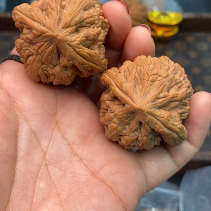 核桃虎头王45尺核桃