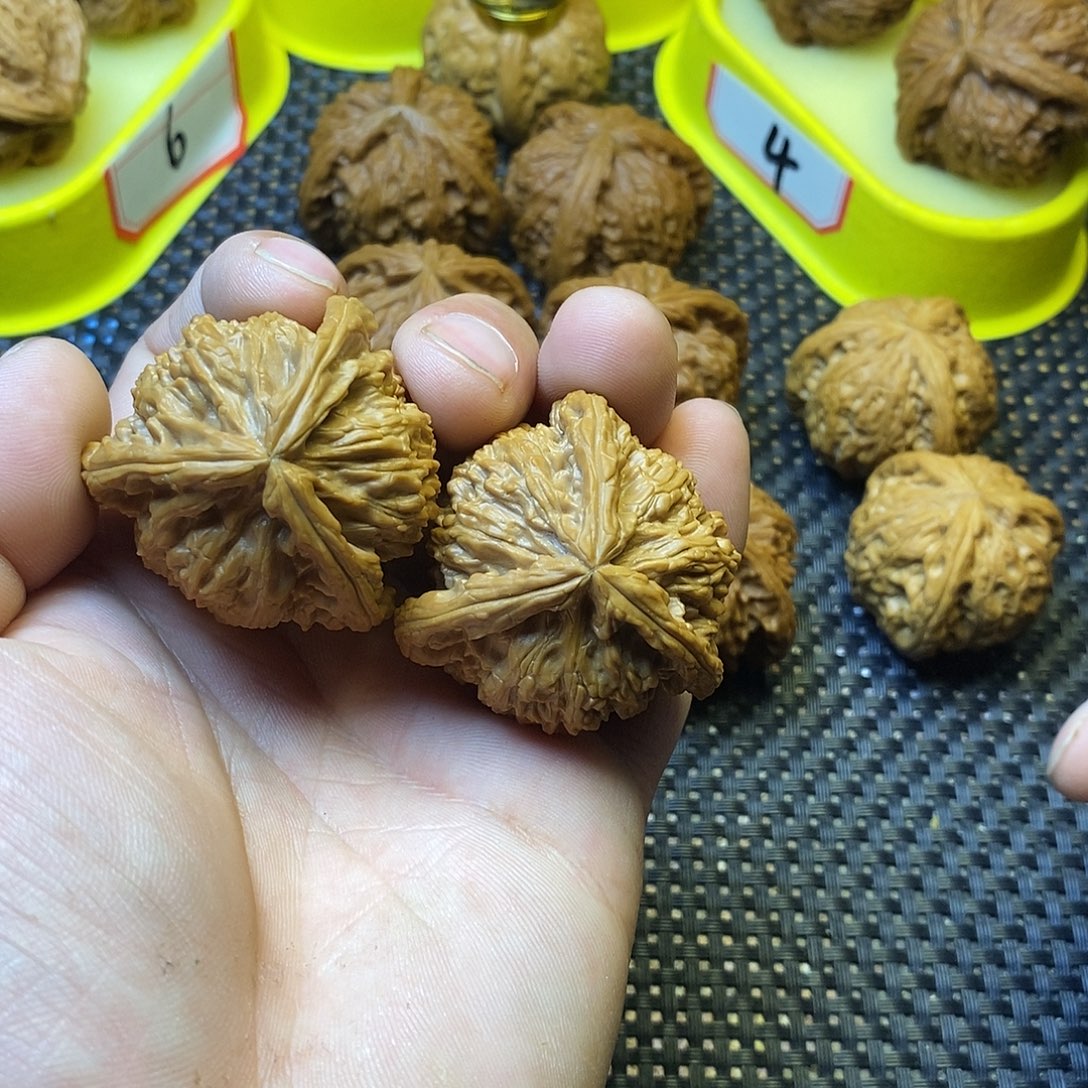 ৡ***人文玩核桃盒三棱炸炸炸炸炸炸