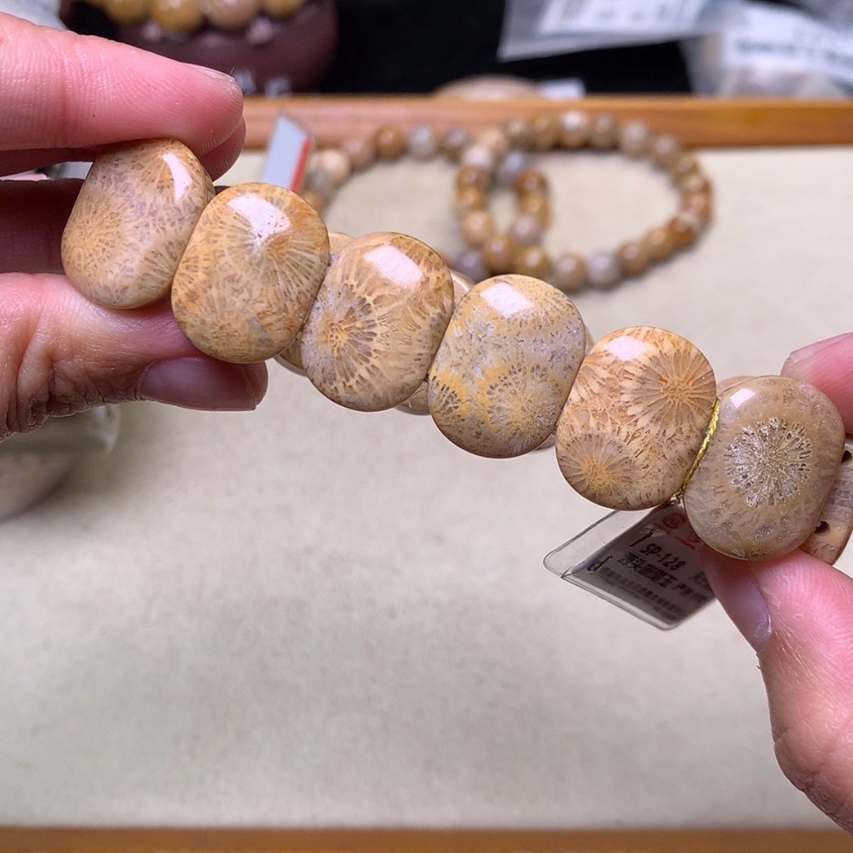 【闪购商品】硅化珊瑚（珊瑚玉）手链未镶嵌满花