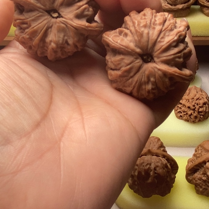 小****大叶紫檀（黑酸枝木类）文玩核桃，血麒麟