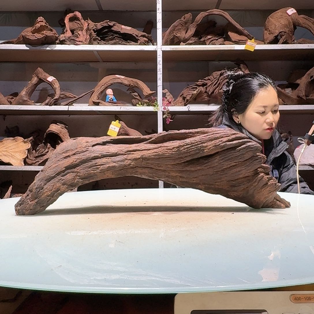 倍褚沉木不包损必褪色E**O6800