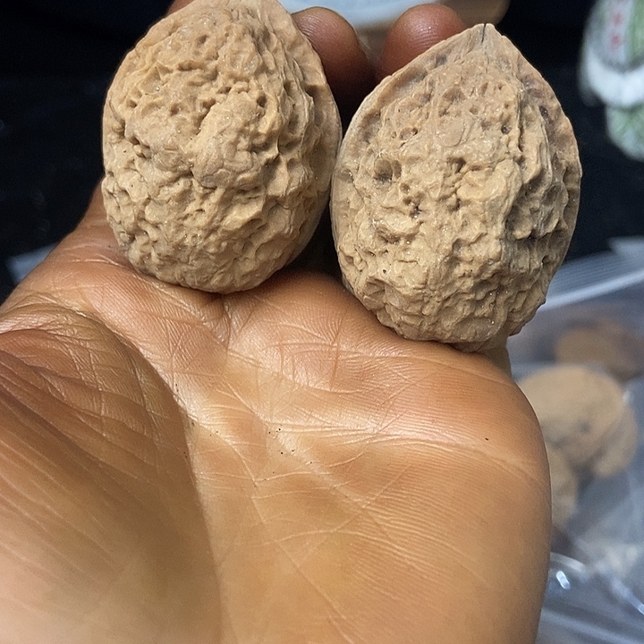 把件文玩核桃云南铁核桃基地79