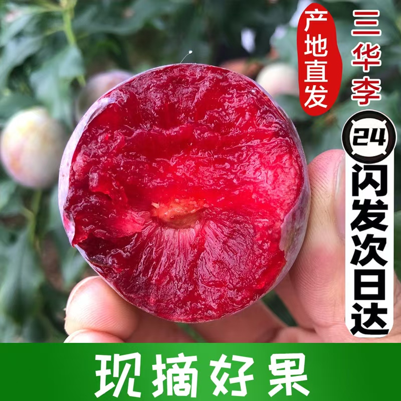 1新鲜三华李子正宗钱排三华现摘李当季水果广东孕妇酸甜红心