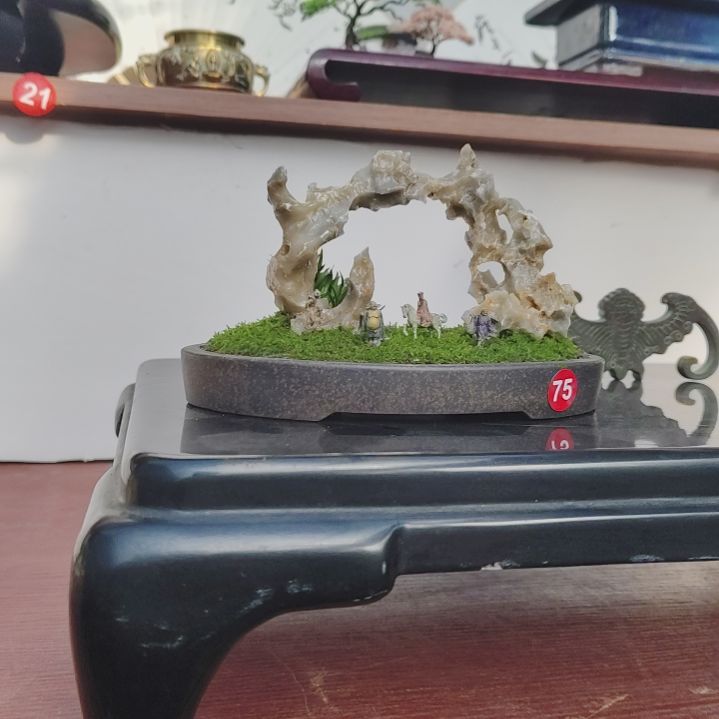 盆景，菖蒲，玉玲珑，佳**梦