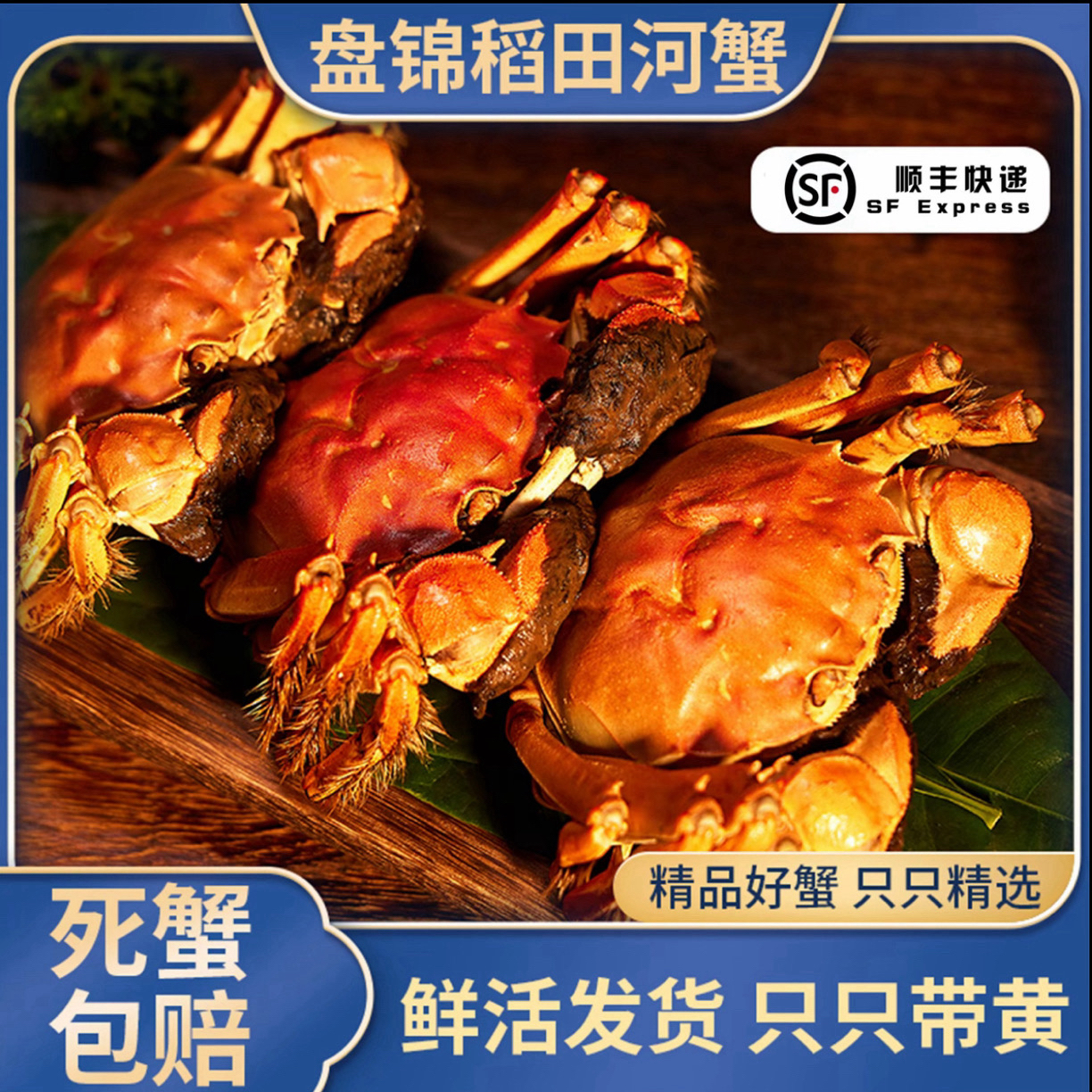 【活蟹】盘锦河蟹母蟹1.7-2.0两 12只 顺丰包邮