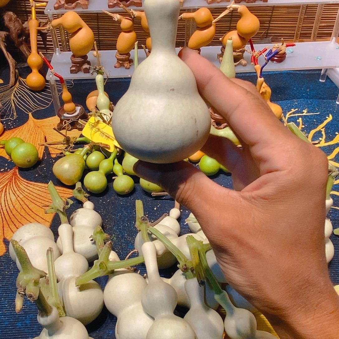 有机玻璃不包成不退不换