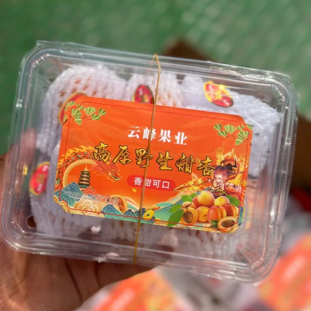 大凉山·高山蜜杏礼盒3斤毛重，浓郁香甜的杏子味，香！如蜜桃般浓郁芳香， 细嫩果肉，一呡就化掉四川省