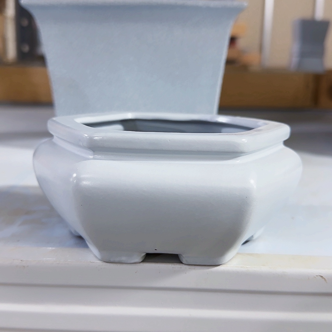 陶瓷花盆特价上新