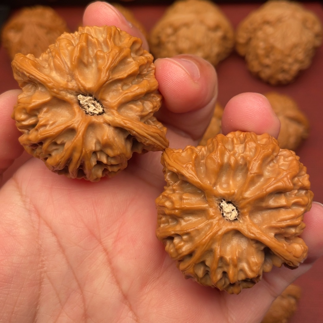 文玩核桃把件全品无修45精配苹果园