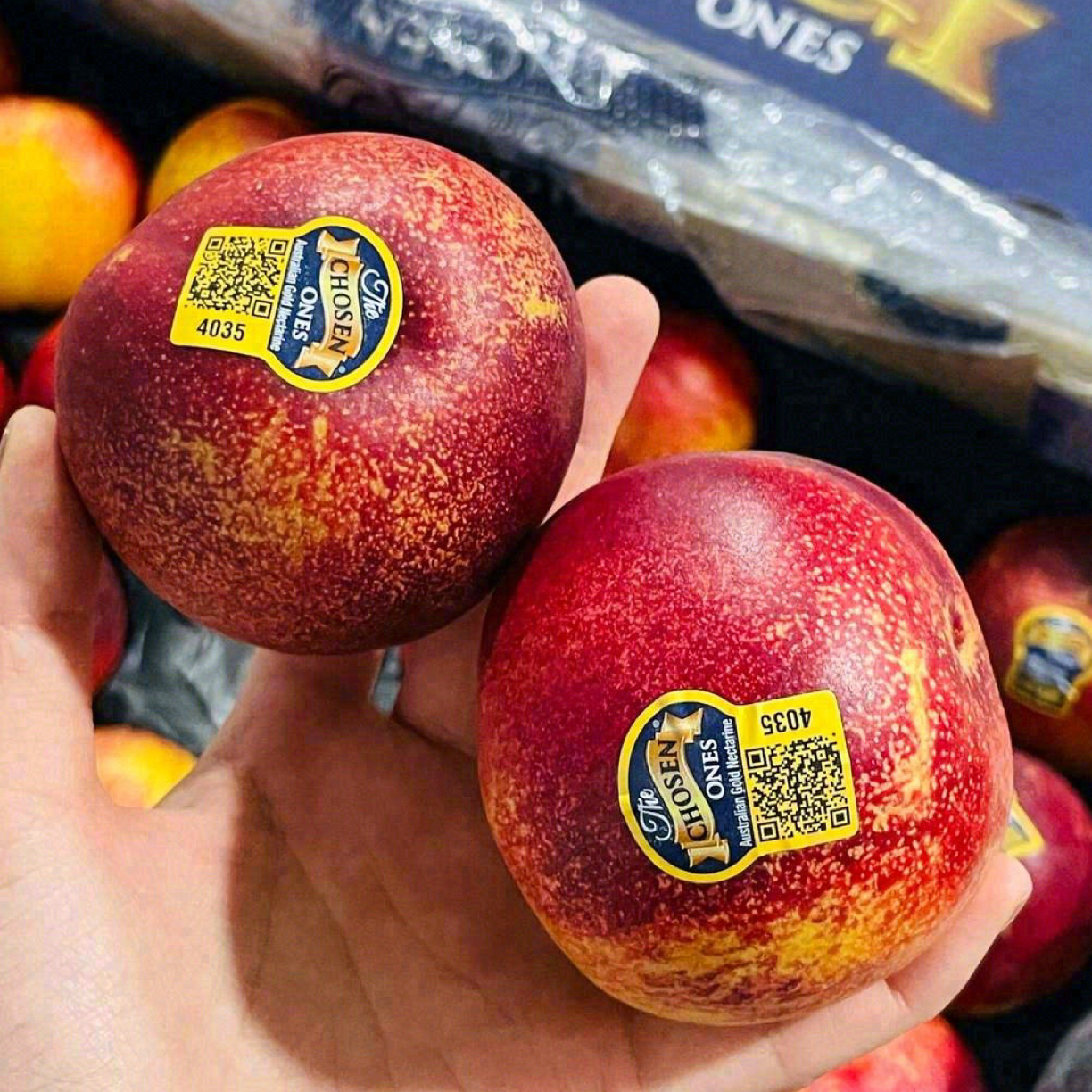 正宗新鲜采摘油桃当季水果脆甜多汁