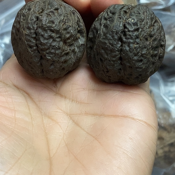 把件文玩核桃云南铁核桃基地22