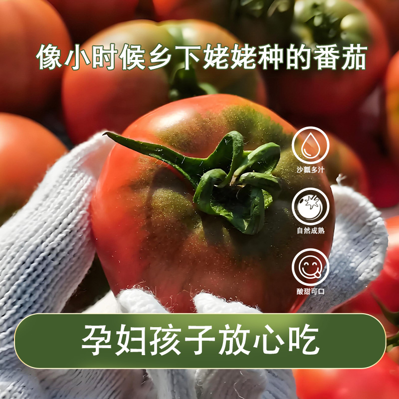 有机草莓西红柿新鲜正宗铁皮草莓柿子自然成熟水果番茄口感好