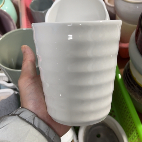 ［所有订单凑满15明天发］9×11