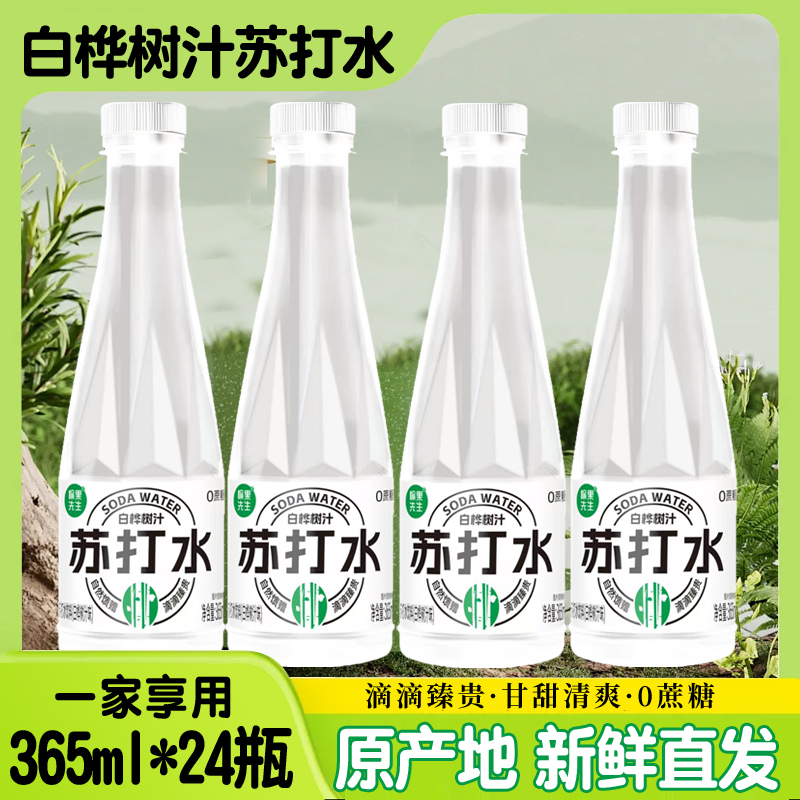 愉果先生白桦树汁苏打水饮料网红饮品365ml*24瓶整箱