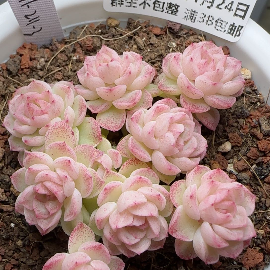 0124-151（M1-211-3）