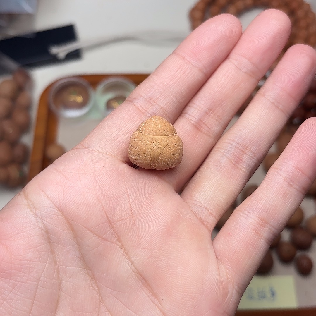 ****雲凤眼菩提手串龙眼18