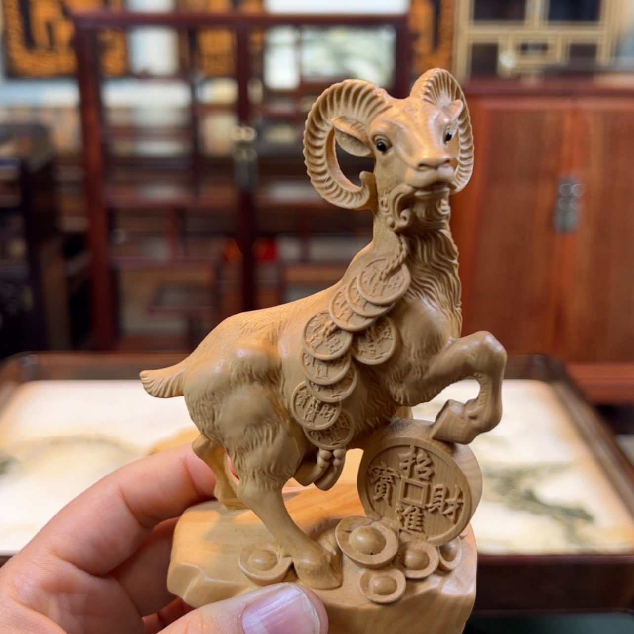 【闪购商品】黄杨木其他黄杨木