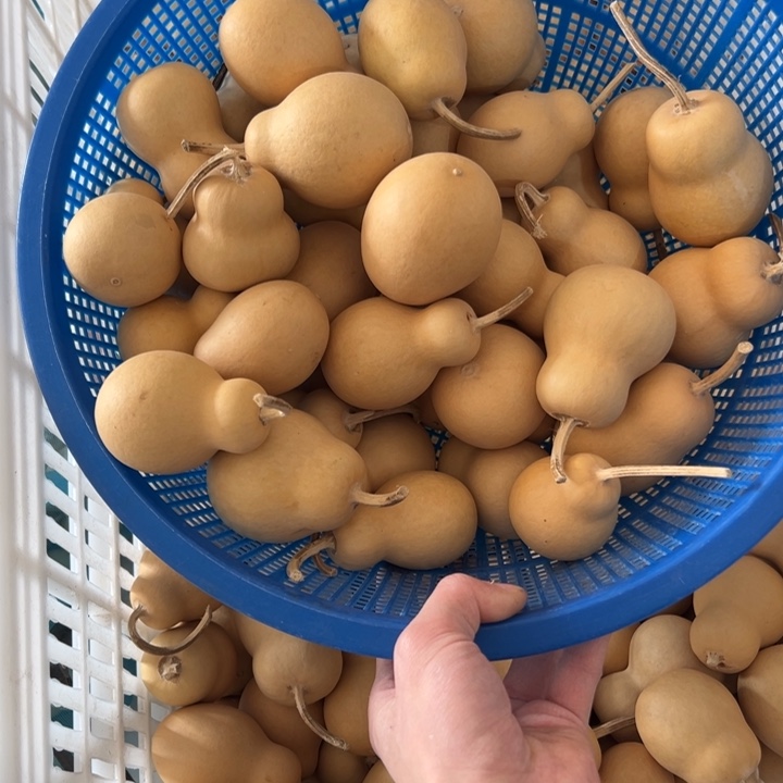 阿***玩葫芦文玩摆件制品